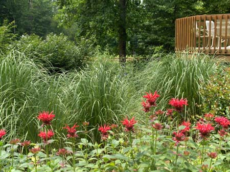 Garden12