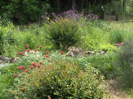 Garden3