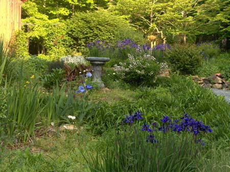 Garden5
