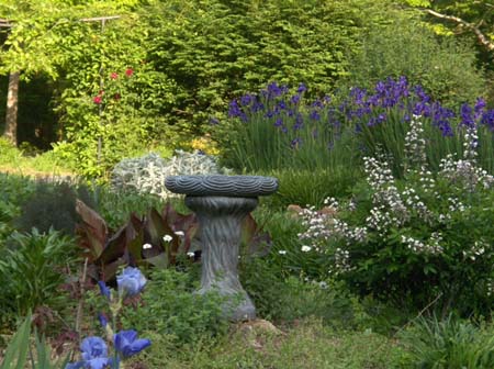 Garden6