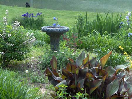 Garden7