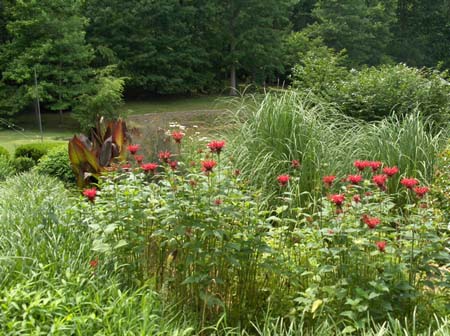 Garden8