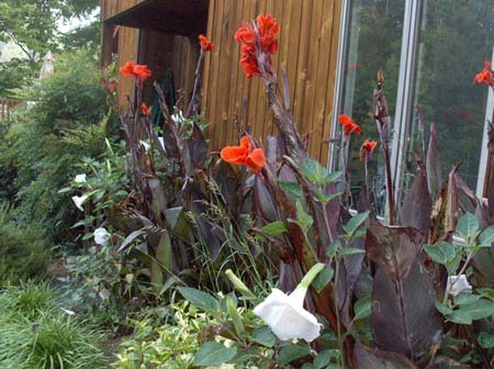 Garden9