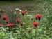 Garden10