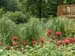 Garden12