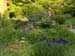 Garden5