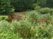 Garden8