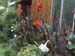 Garden9